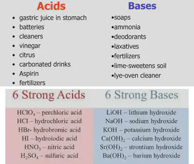 Difference Between Acid and Base for Class 7